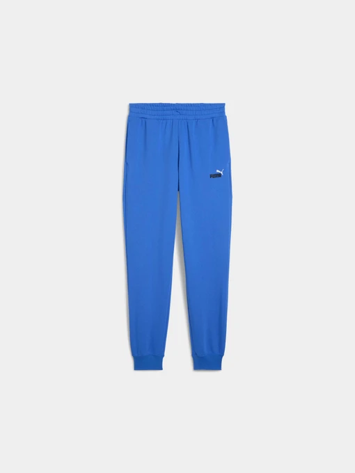 Брюки PUMA Ess 2 Color Logo Sweatpants модель 684714 Фото