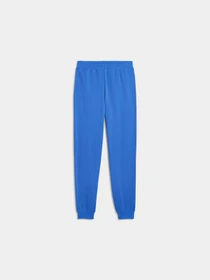 Брюки PUMA Ess 2 Color Logo Sweatpants модель 684714 Фото