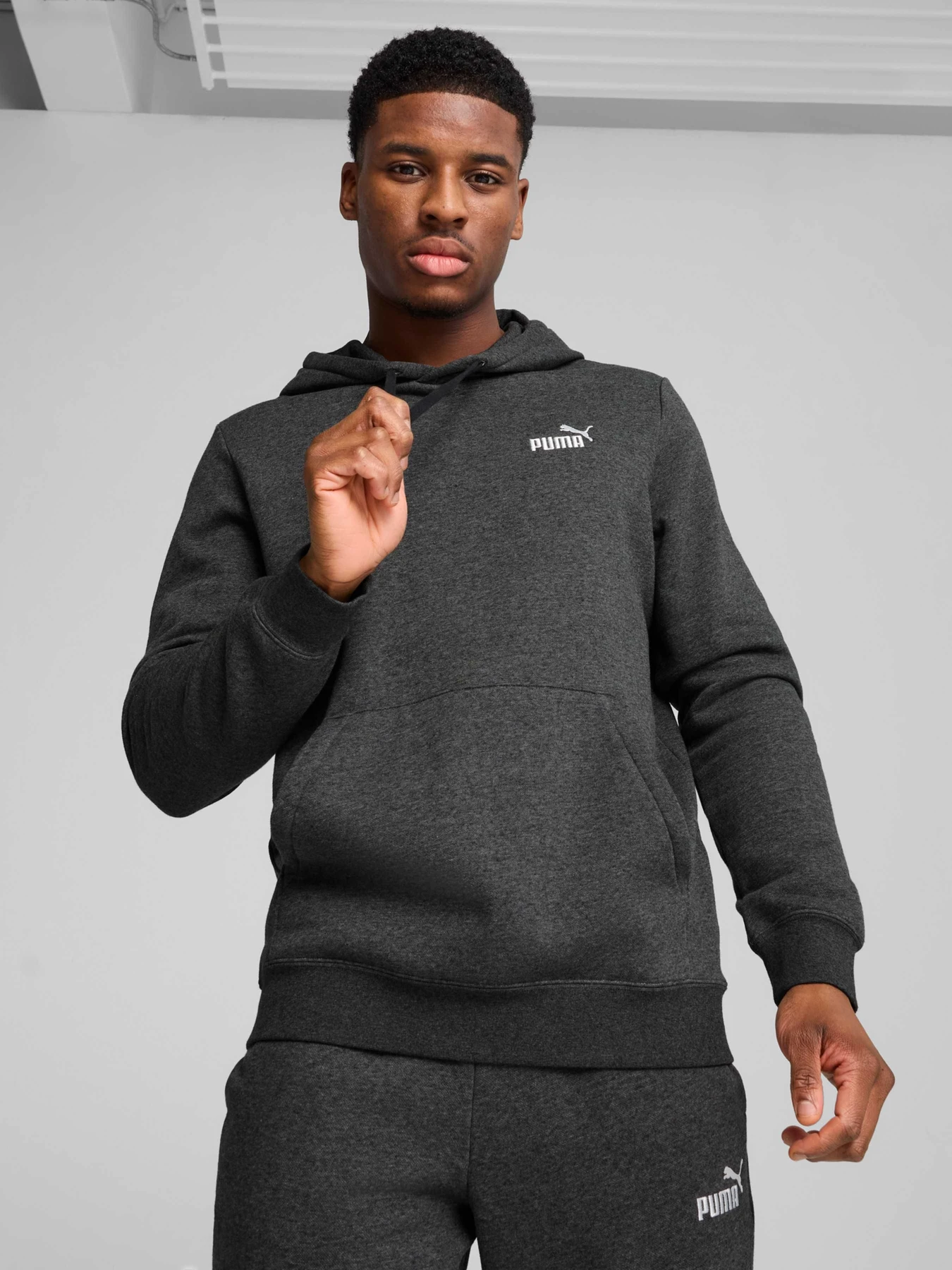 Худі та світшоти PUMA Ess Small No. 1 Logo Hoodie модель 682574 Худі та світшоти PUMA Ess Small No. 1 Logo Hoodie модель 682574 Фото