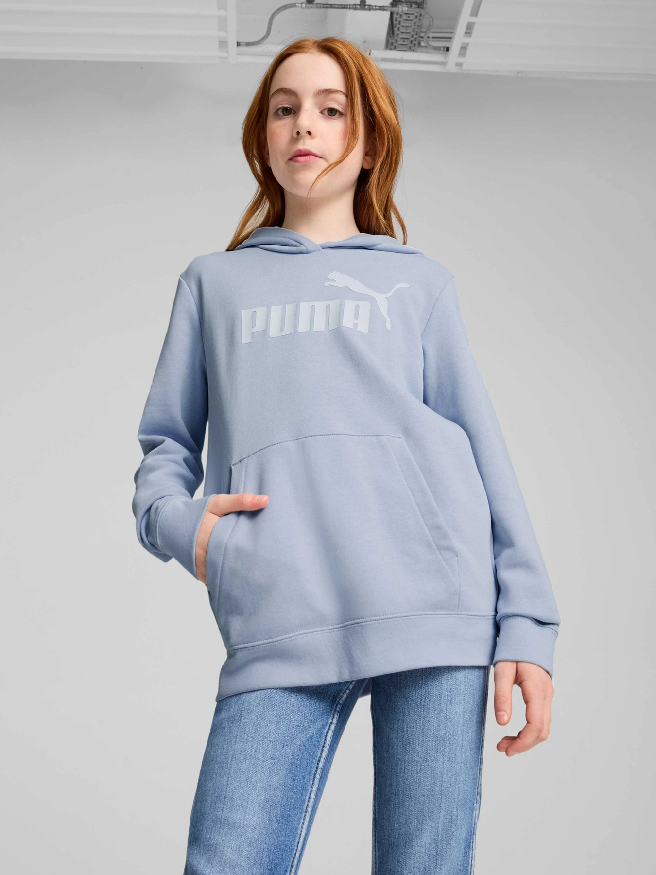 Худи и свитшоты PUMA Ess No. 1 Logo Hoodie модель 684897 Худи и свитшоты PUMA Ess No. 1 Logo Hoodie модель 684897 Фото
