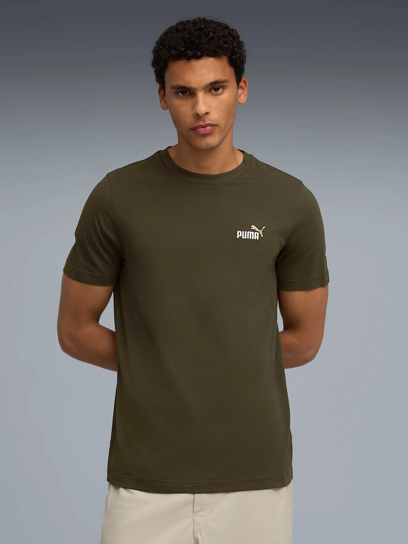 Футболки и поло PUMA Ess 2 Color Small Logo Tee модель 684717 Футболки и поло PUMA Ess 2 Color Small Logo Tee модель 684717 Фото