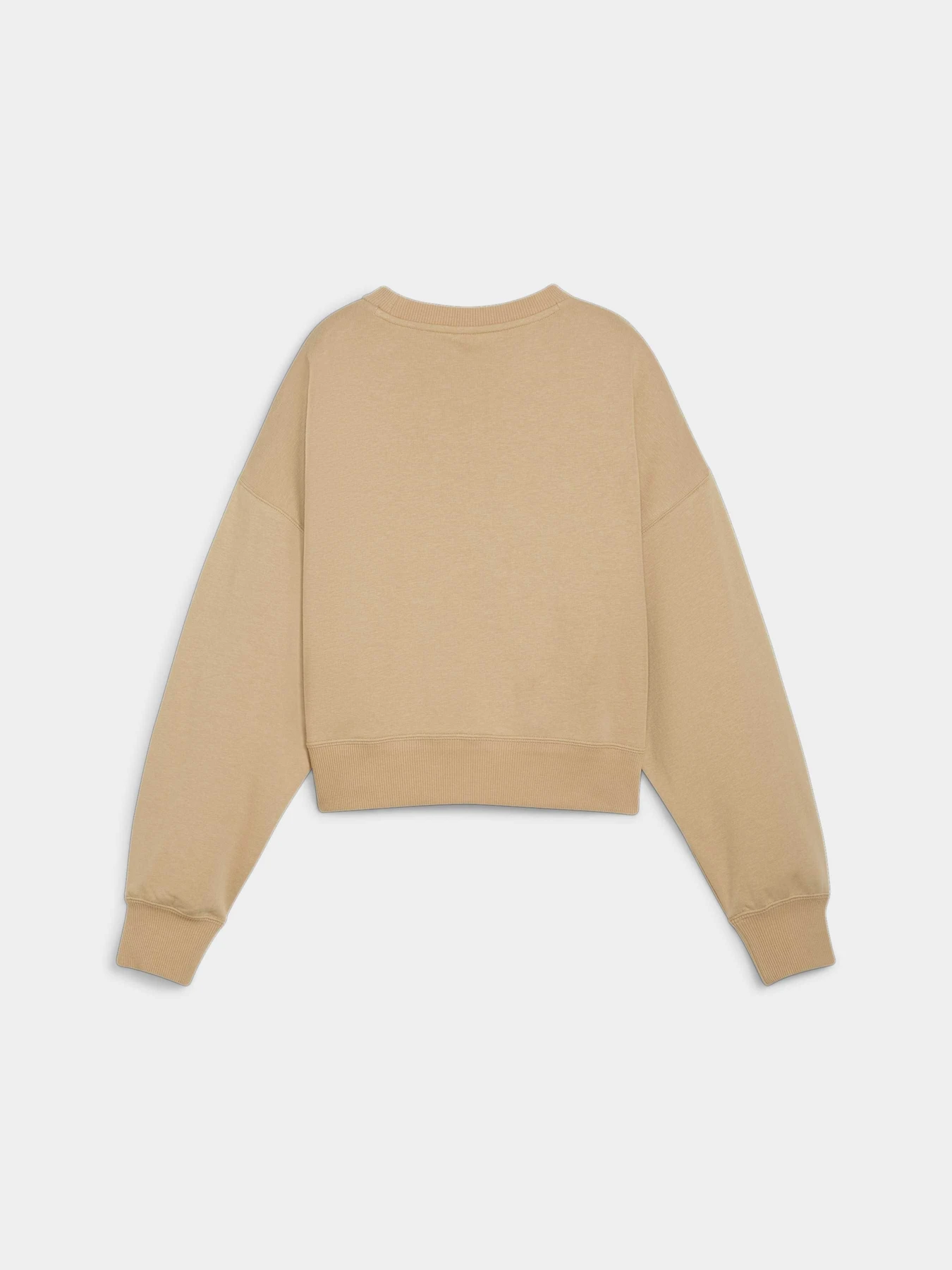 Худі та світшоти PUMA Team Oversized Crew модель 624318 Фото