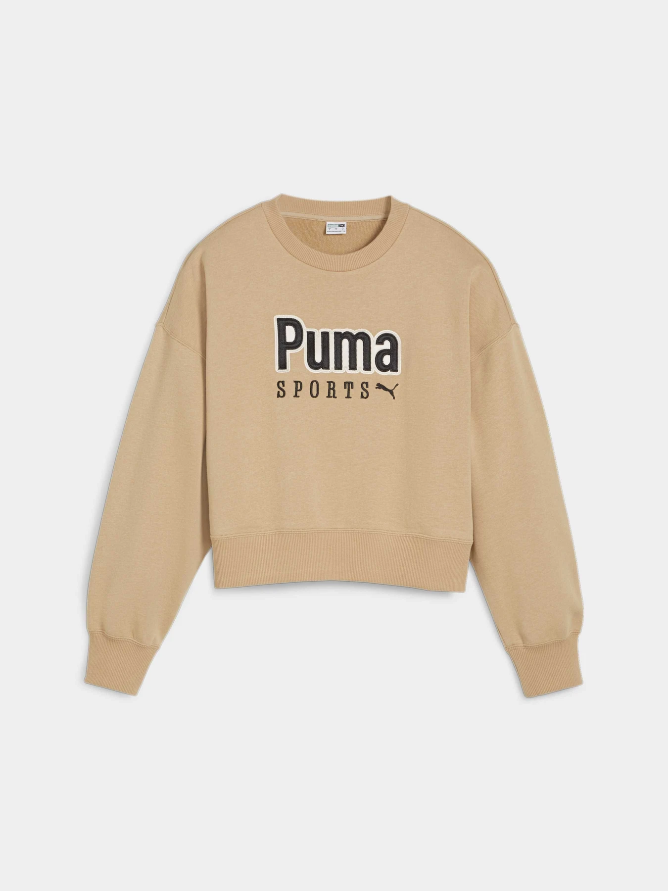 Худі та світшоти PUMA Team Oversized Crew модель 624318 Фото