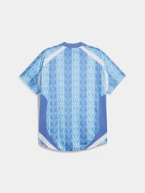 Футболки і поло PUMA Football Jersey модель 627885 Фото