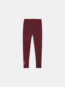 Брюки PUMA Metallic Leggings модель 685000 Фото