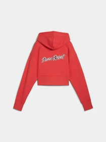 Худі та світшоти PUMA Premium Ess Graphic Hoodie модель 629778 Фото