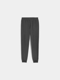 Брюки PUMA Ess No. 1 Logo Sweatpants модель 682606 Фото