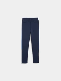 Брюки PUMA Evostripe Pants модель 679198 Фото