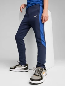 Брюки PUMA Evostripe Pants модель 679198 Фото