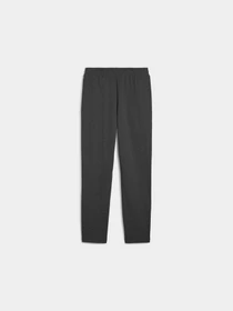 Брюки PUMA Ess No. 1 Logo Sweatpants модель 682612 Фото