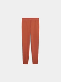 Брюки PUMA Ess Logo Sweatpants Fl Cl модель 686784 Фото
