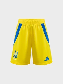 Шорти Adidas модель IP2185 Фото