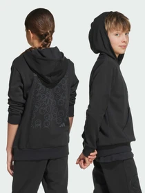 Худи и свитшоты Adidas модель JN2161 Фото
