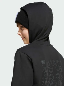 Худи и свитшоты Adidas модель JN2161 Фото