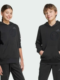 Худи и свитшоты Adidas модель JN2161 Фото