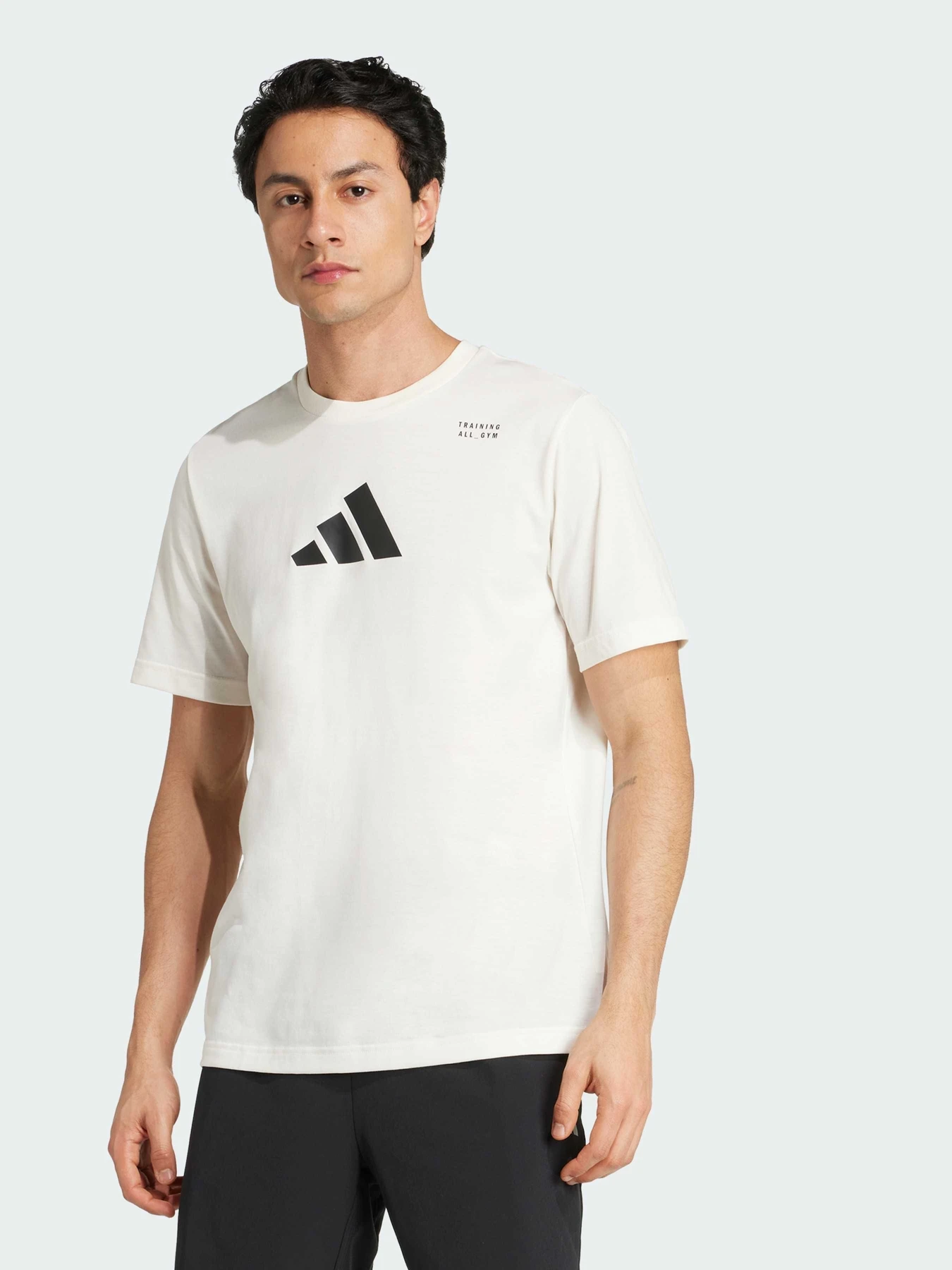 Футболки и поло Adidas модель JM8976 Футболки и поло Adidas модель JM8976 Фото