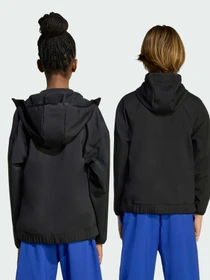 Худи и свитшоты Adidas модель JM1681 Фото