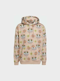 Худи и свитшоты Adidas Graphics модель JW1084 Фото