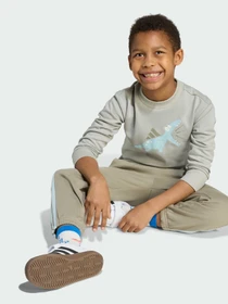 Костюмы Adidas модель JV7951 Фото