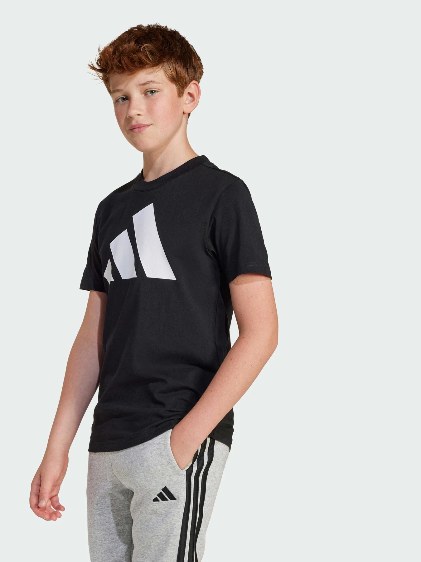 Футболки и поло Adidas Adidas Essentials модель JC9660 Футболки и поло Adidas Adidas Essentials модель JC9660 Фото