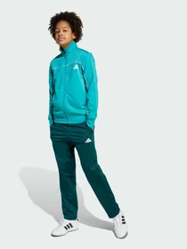Костюмы Adidas модель JX0206 Фото
