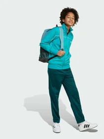 Костюмы Adidas модель JX0206 Фото