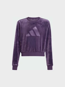 Худи и свитшоты Adidas модель JW2437 Фото