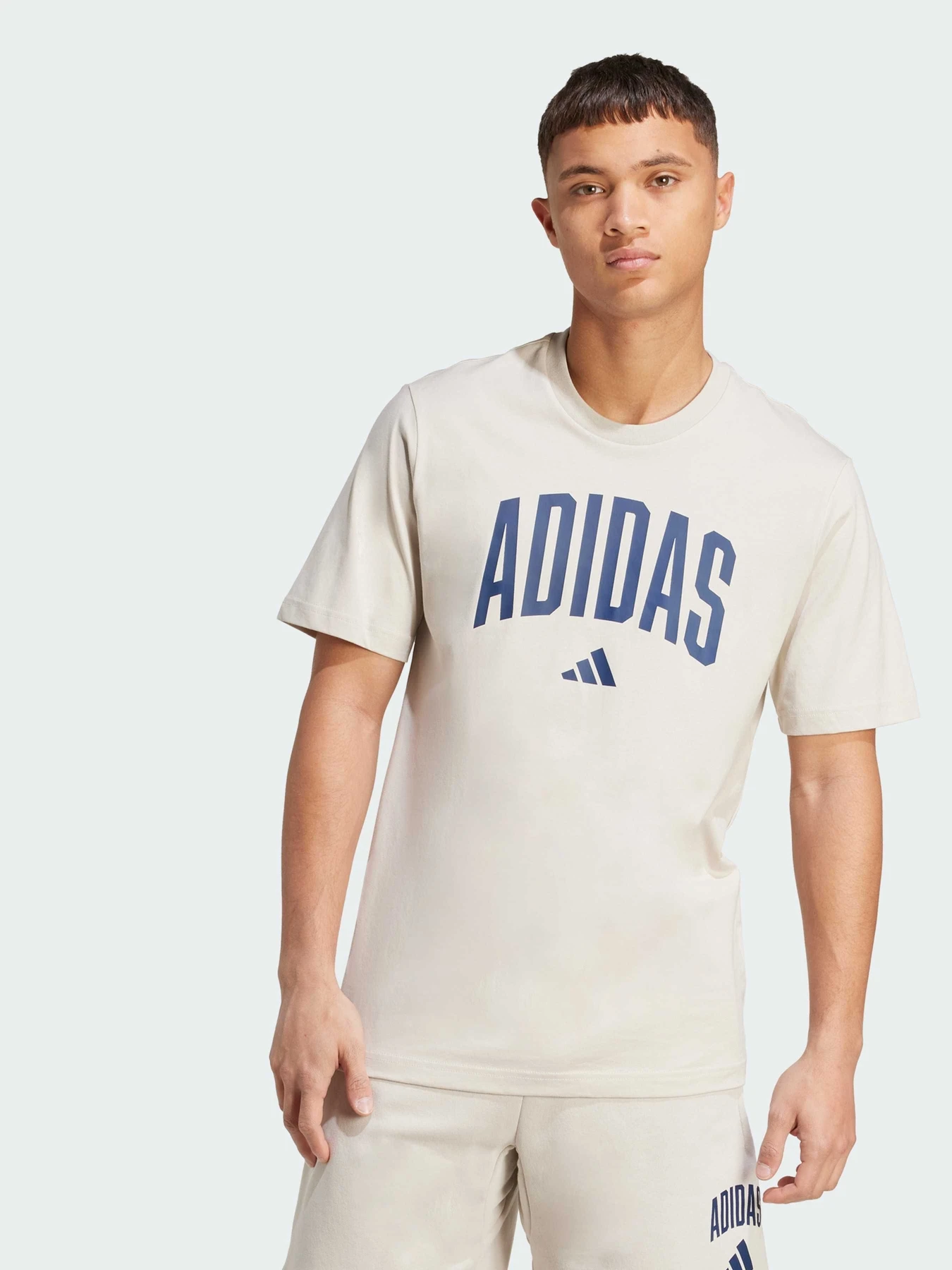 Футболки і поло Adidas модель JM6415 Фото