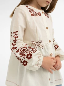 Вышиванки Folk Moda модель fm3023-vershkovij Фото