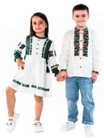 Вышиванки Folk Moda модель fm2884-vershkovij Фото
