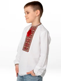 Вышиванки Folk Moda модель fm2871-blij Фото