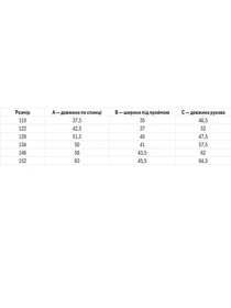 Вышиванки Folk Moda модель fm2824-blij Фото