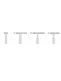 Вышиванки Folk Moda модель fm2825-blij Фото