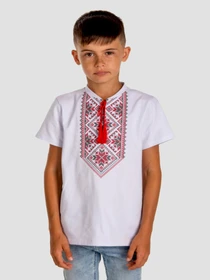 Вышиванки Folk Moda модель fm2829-blij Фото