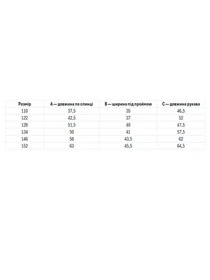 Вышиванки Folk Moda модель fm2817-blij Фото
