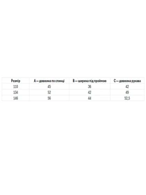 Вышиванки Folk Moda модель fm2819-temno-sinj Фото