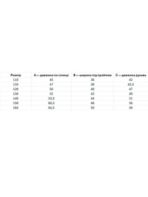 Вышиванки Folk Moda модель fm2800-sinj Фото