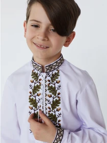 Вышиванки Folk Moda модель fm2508-blij Фото