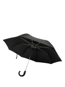 Парасольки Fulton Umbrellas Ambassador модель G518-000649 Фото