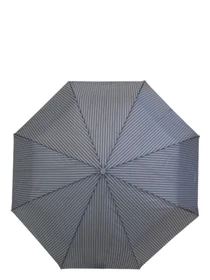 Зонты Fulton Umbrellas Chelsea-2 модель G818-014936 Фото