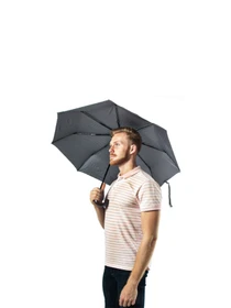Зонты Fulton Umbrellas Chelsea-2 модель G818-014936 Фото