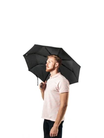 Зонты Fulton Umbrellas Chelsea-3 модель G818-019214 Фото