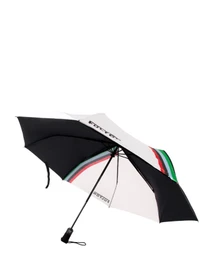 Парасольки Fulton Umbrellas Jumbo-2 модель G842-040607 Фото