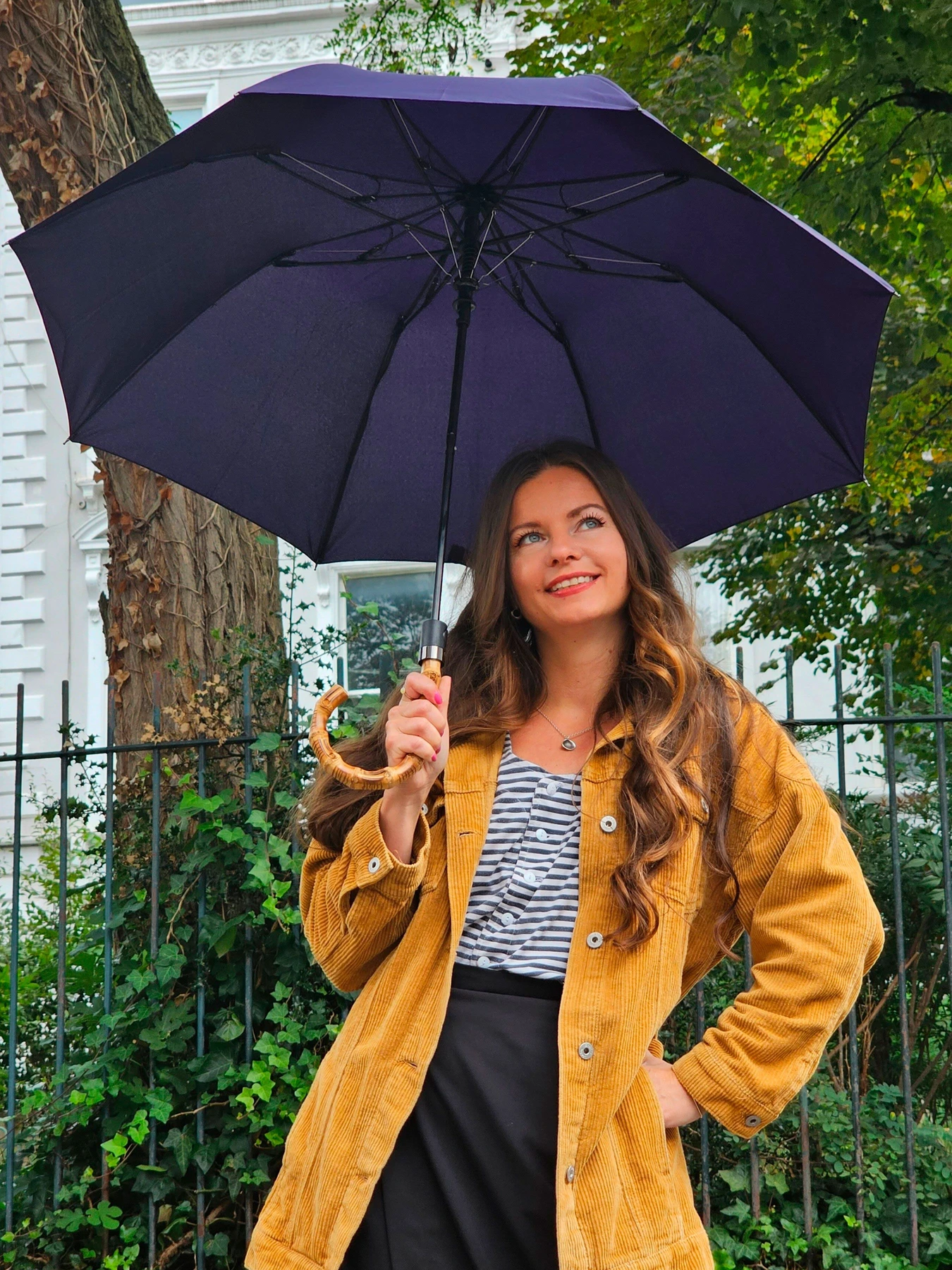 Зонты Fulton Umbrellas Portobello-1 модель G938-041406 Зонты Fulton Umbrellas Portobello-1 модель G938-041406 Фото