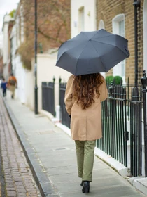 Зонты Fulton Umbrellas Ultralite-1 модель L353-012994 Фото