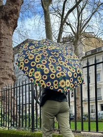 Зонты Fulton Umbrellas Minilite-2 модель L354-041673 Фото
