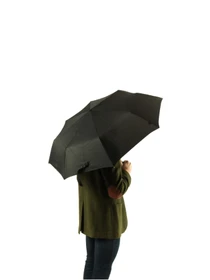 Зонты Fulton Umbrellas Deluxe-1 модель L449-000274 Фото