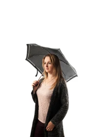 Зонты Fulton Umbrellas Tiny-2 модель L501-020449-1 Фото