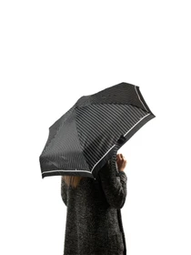 Зонты Fulton Umbrellas Tiny-2 модель L501-020449-1 Фото