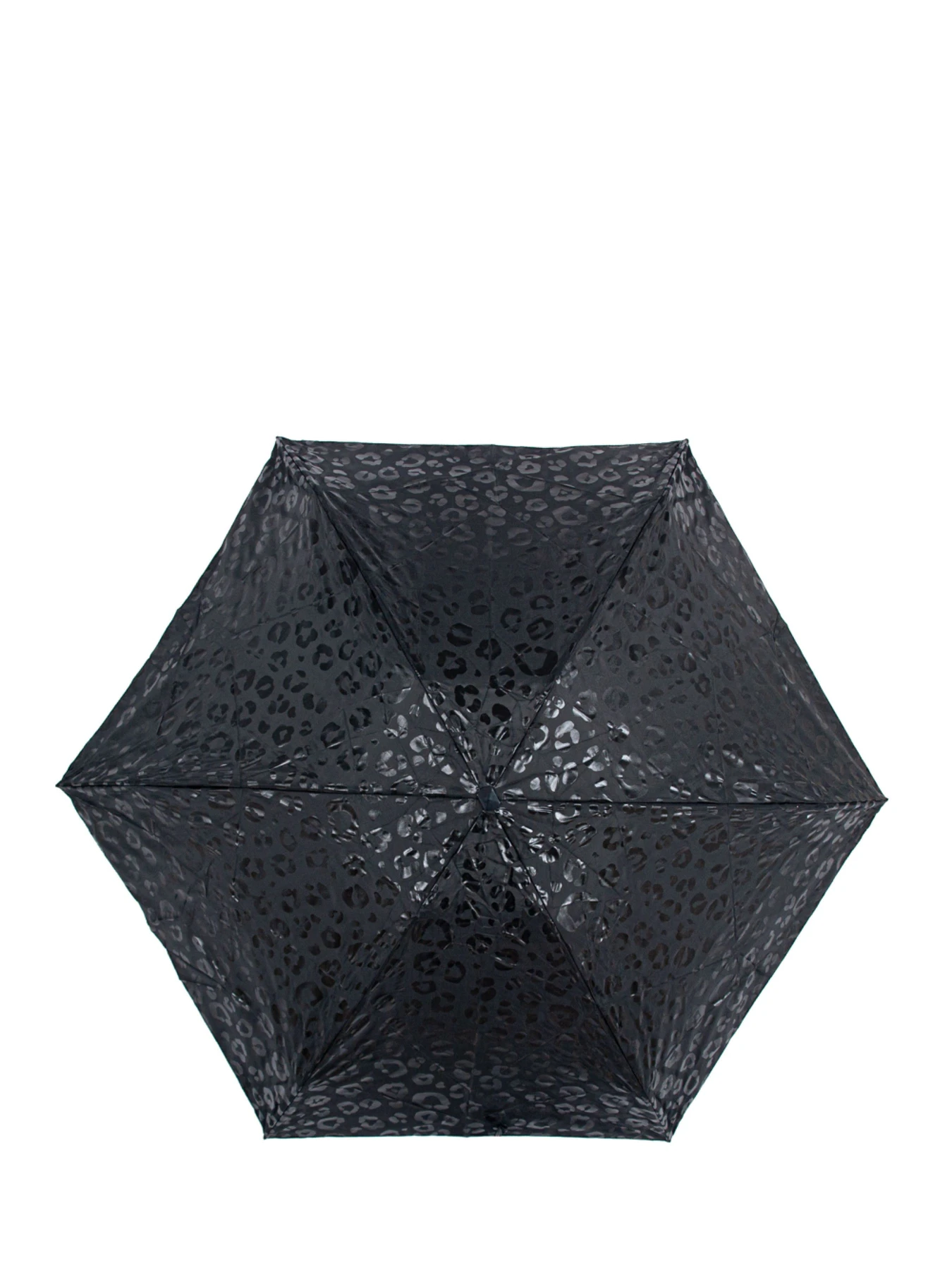 Зонты Fulton Umbrellas Tiny-2 модель L501-040645 Зонты Fulton Umbrellas Tiny-2 модель L501-040645 Фото